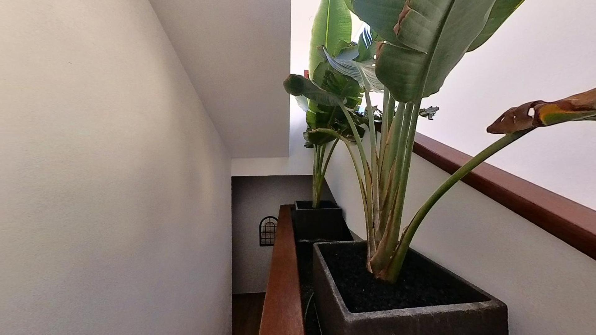 Myhome Urban Apartments بويرتو ديل روزاريو المظهر الخارجي الصورة